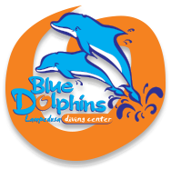 Blue Dolphins Diving Center